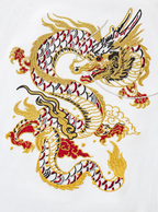 Tee-shirt dragon coloré brodé