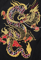 Tee-shirt dragon coloré brodé